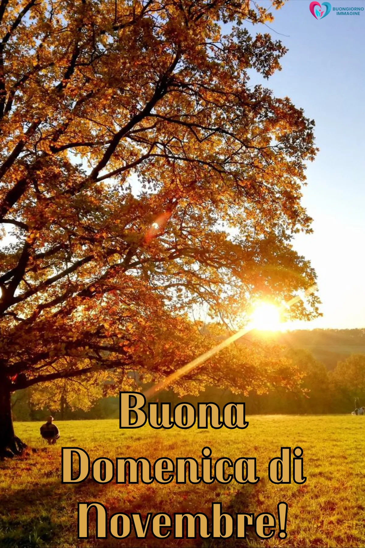 Buongiorno novembre immagini | buongiornoimmagine.it