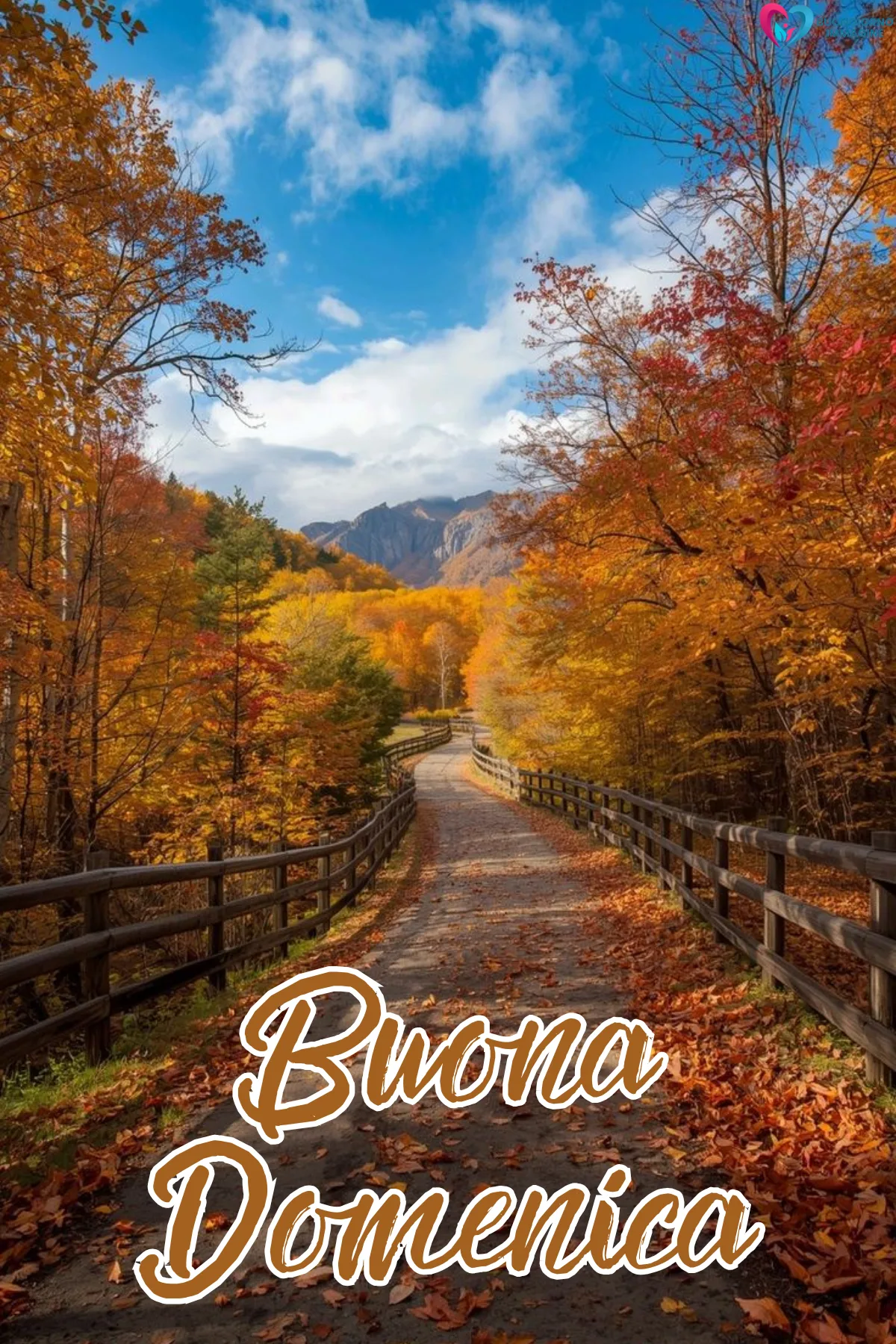 Buongiorno novembre immagini | buongiornoimmagine.it