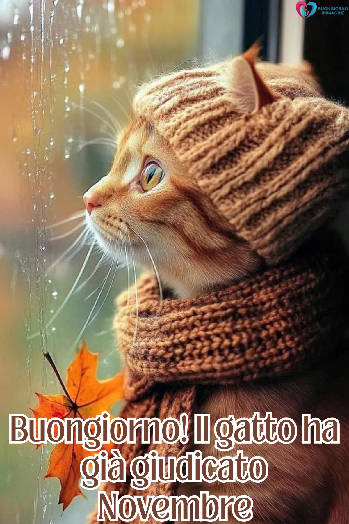 Buongiorno immagini novembre | buongiornoimmagine.it