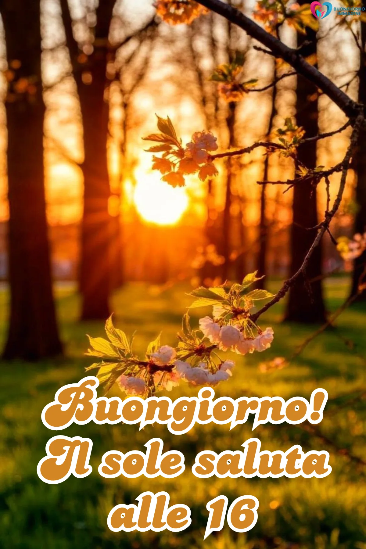 Foto buongiorno novembre | buongiornoimmagine.it