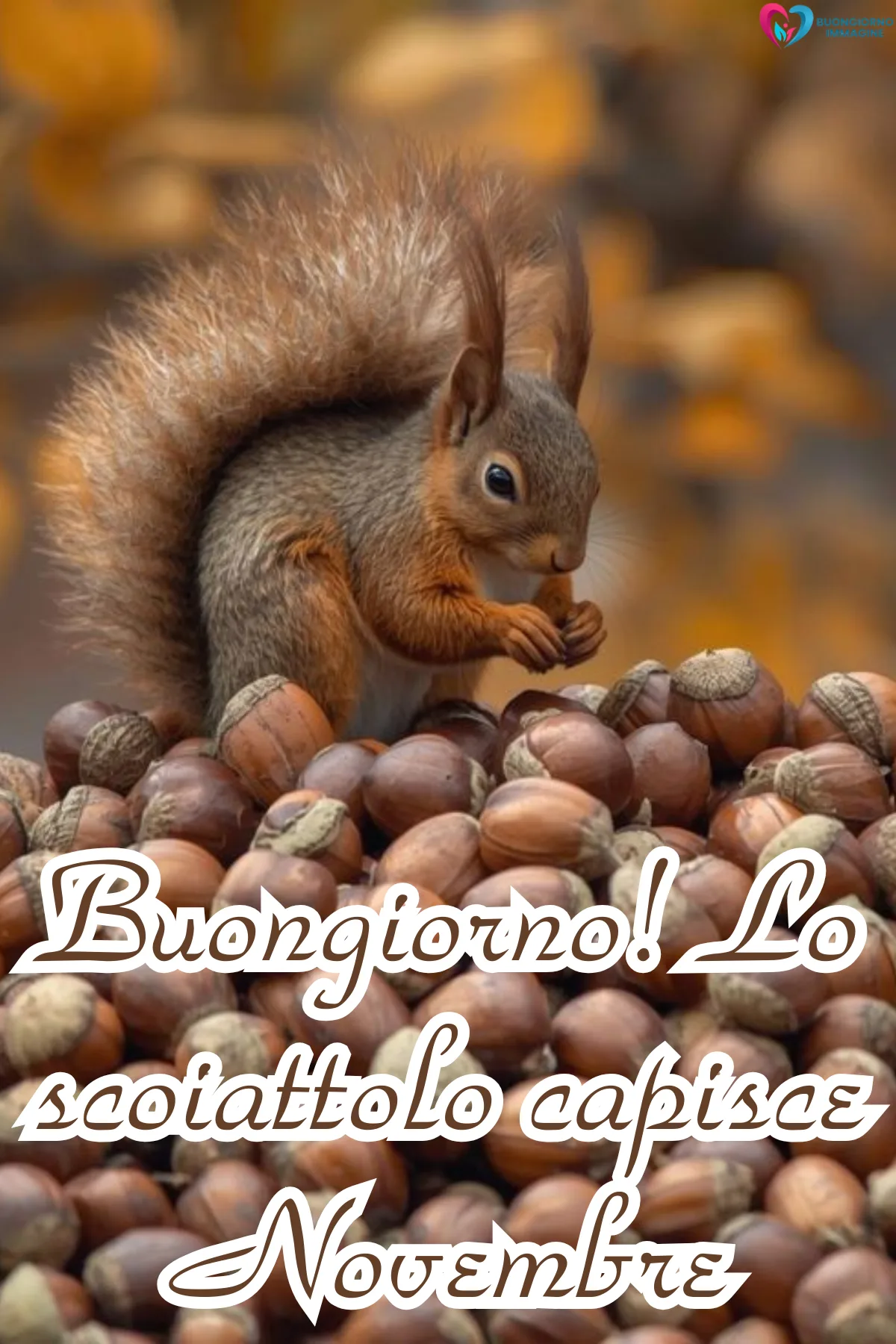 Immagini buongiorno | buongiornoimmagine.it