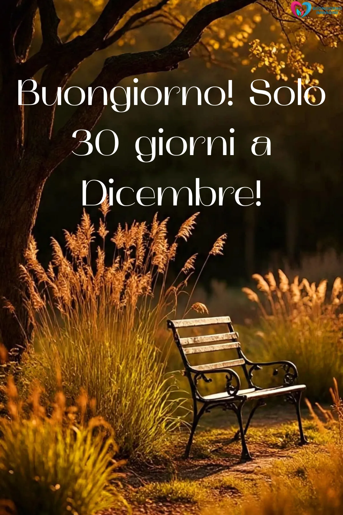 Immagini buongiorno gratis | buongiornoimmagine.it