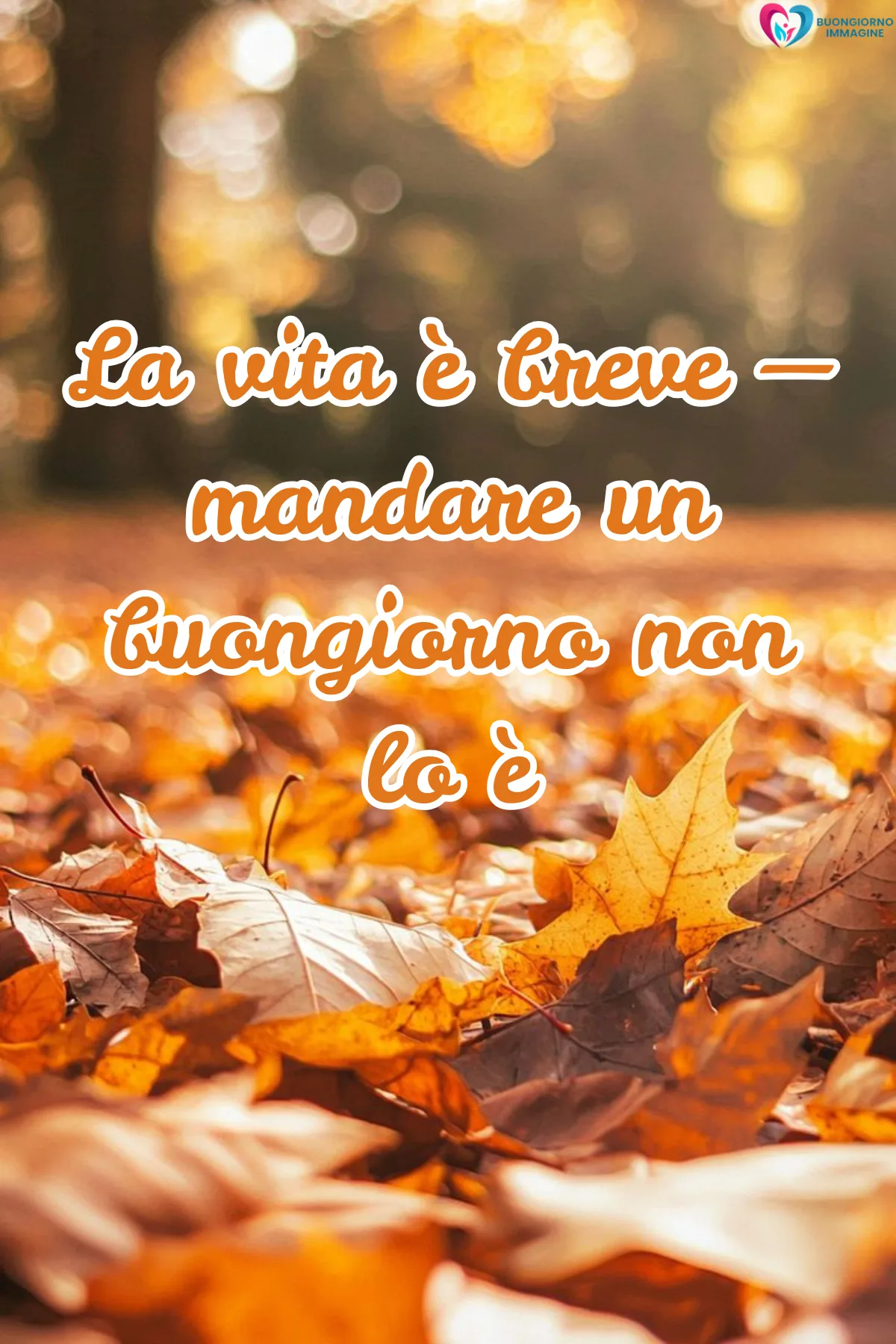 Immagini buongiorno novembre nuove