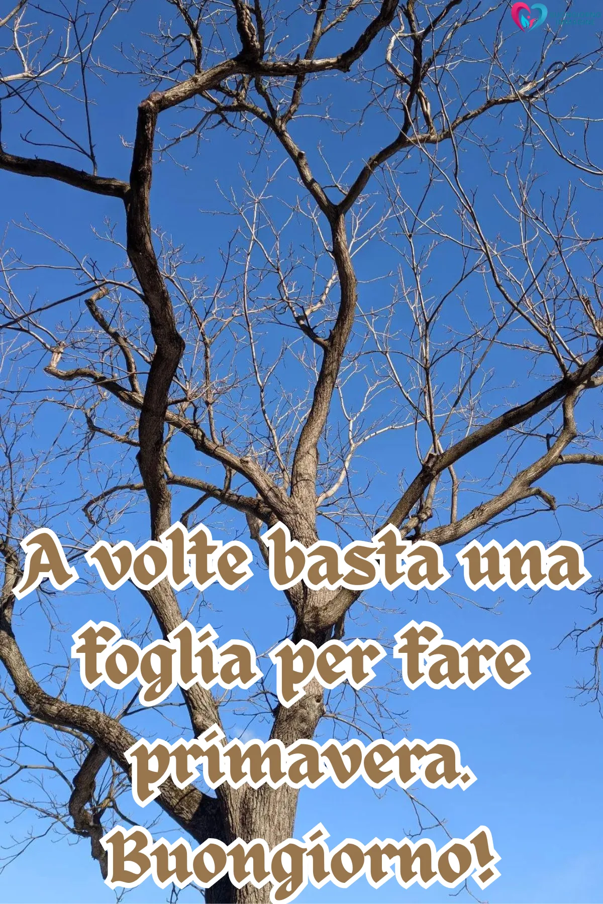 Immagini buongiorno | buongiornoimmagine.it