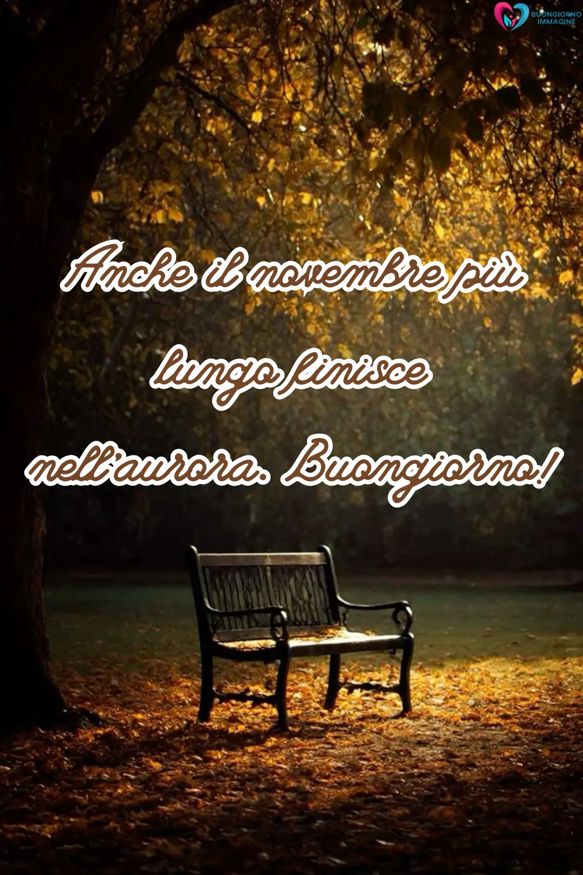 Buongiorno novembre immagini | buongiornoimmagine.it