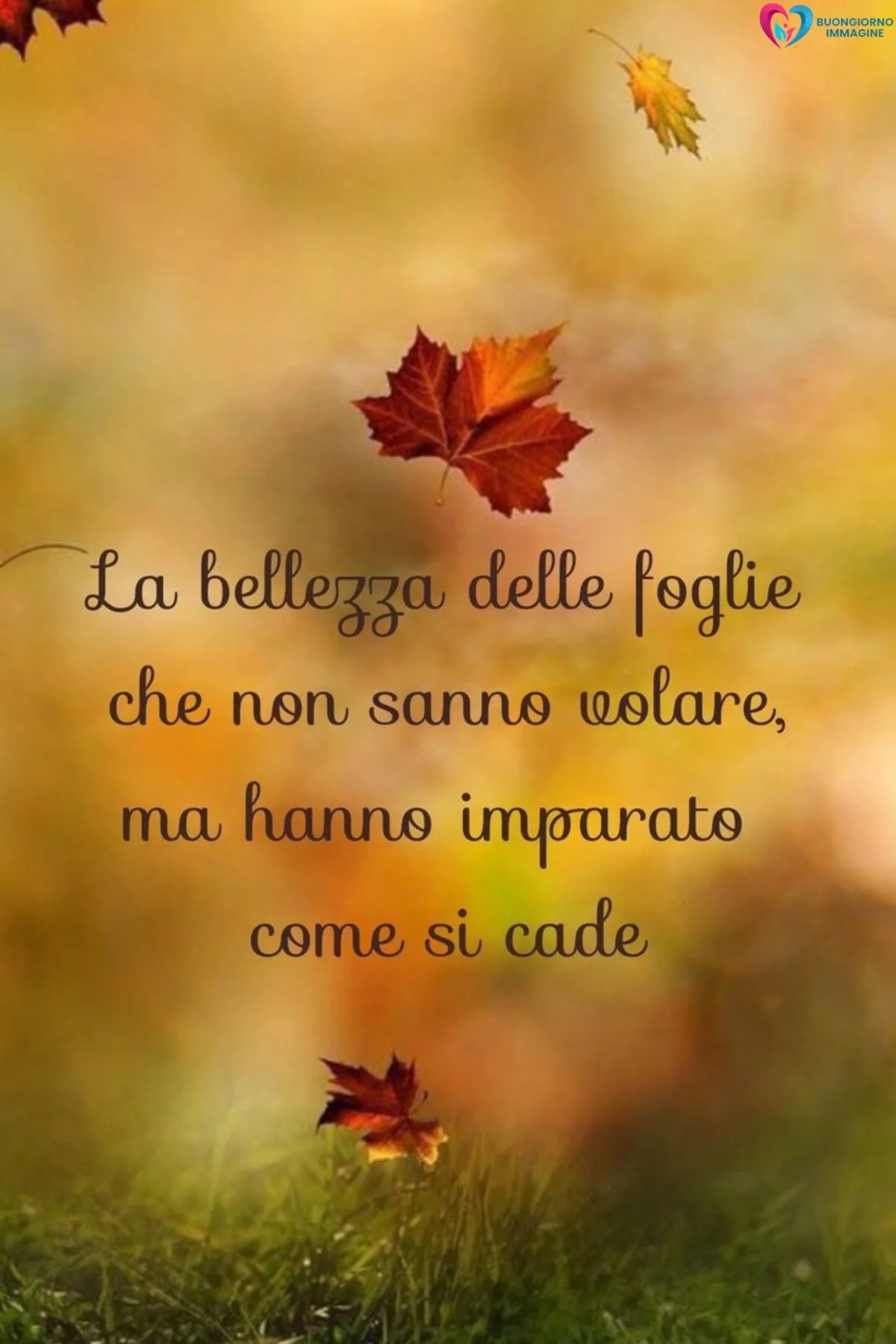 Immagini buongiorno novembre nuove