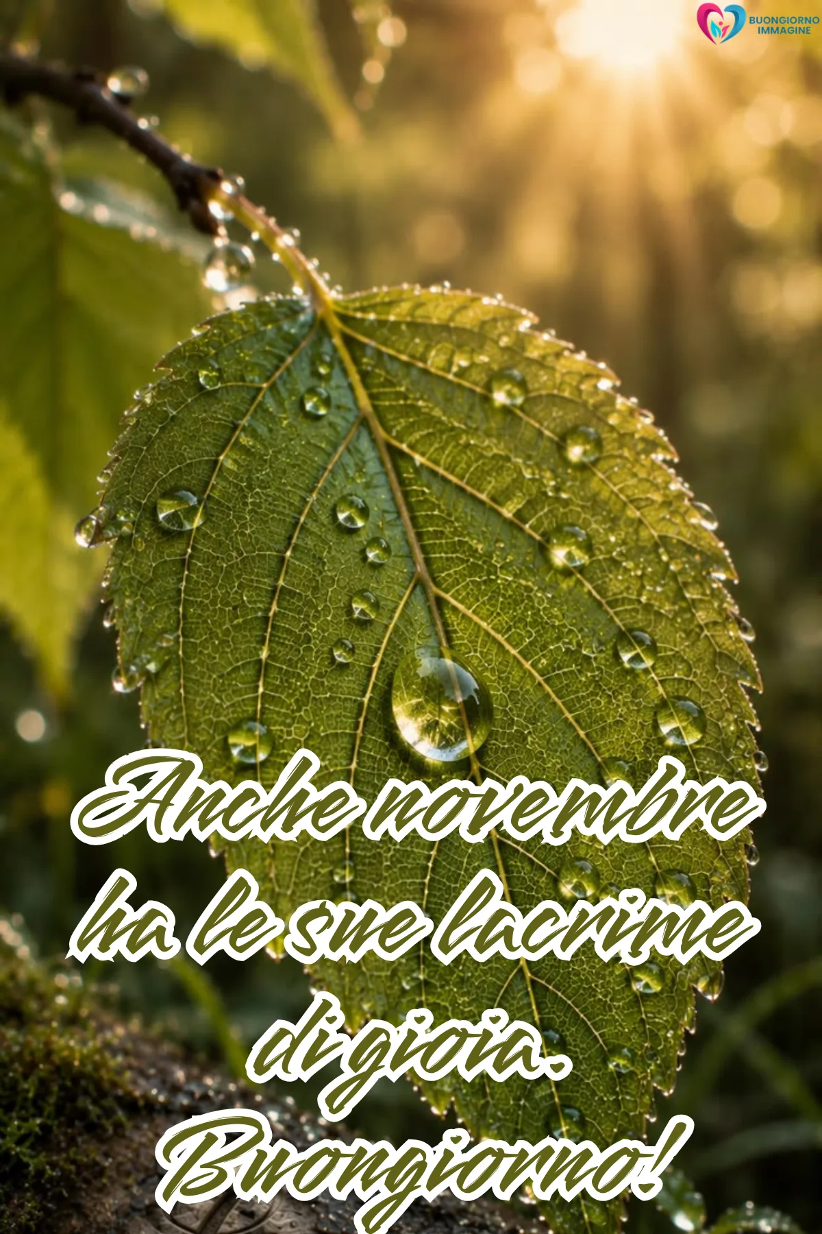 Foto buongiorno novembre | buongiornoimmagine.it