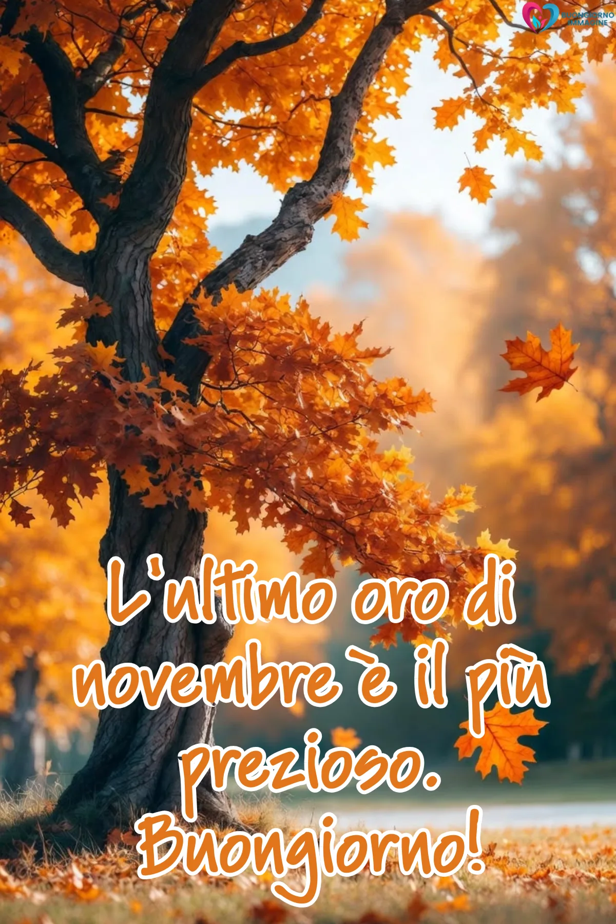 Immagini buongiorno novembre nuove