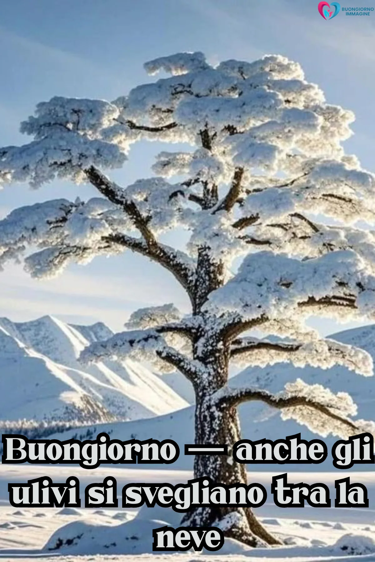 buongiorno neve dicembre