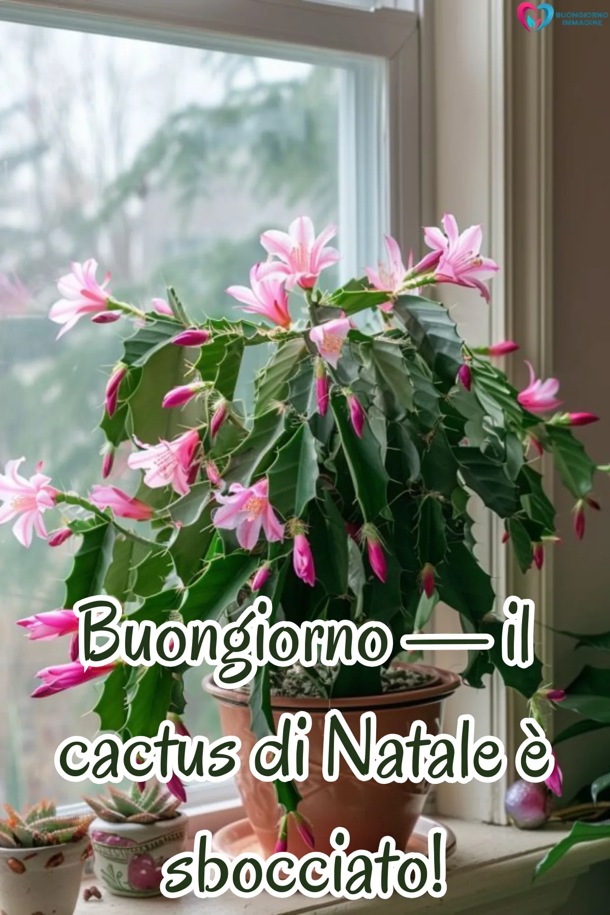 buongiornoimmagine.it