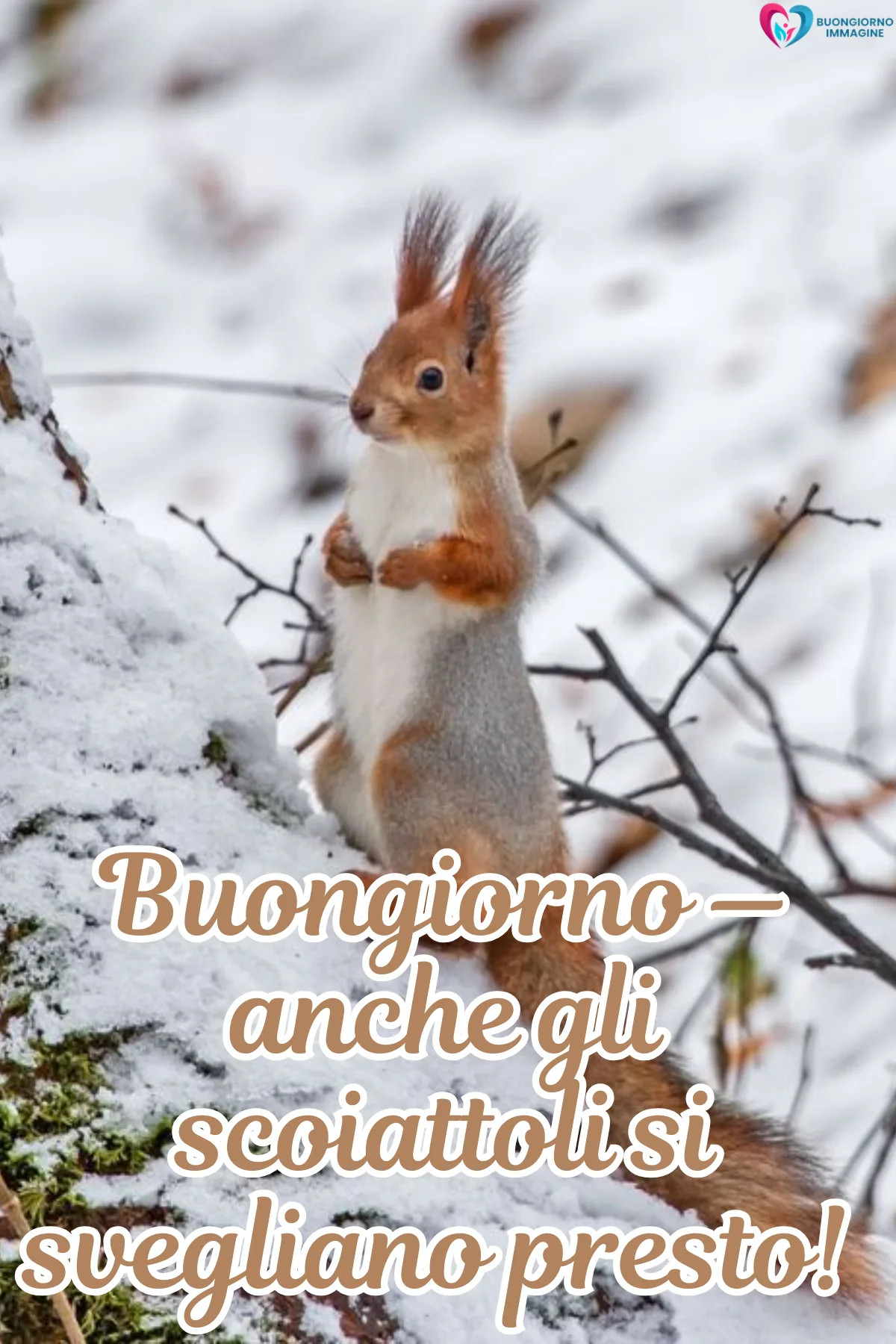 buongiorno neve dicembre