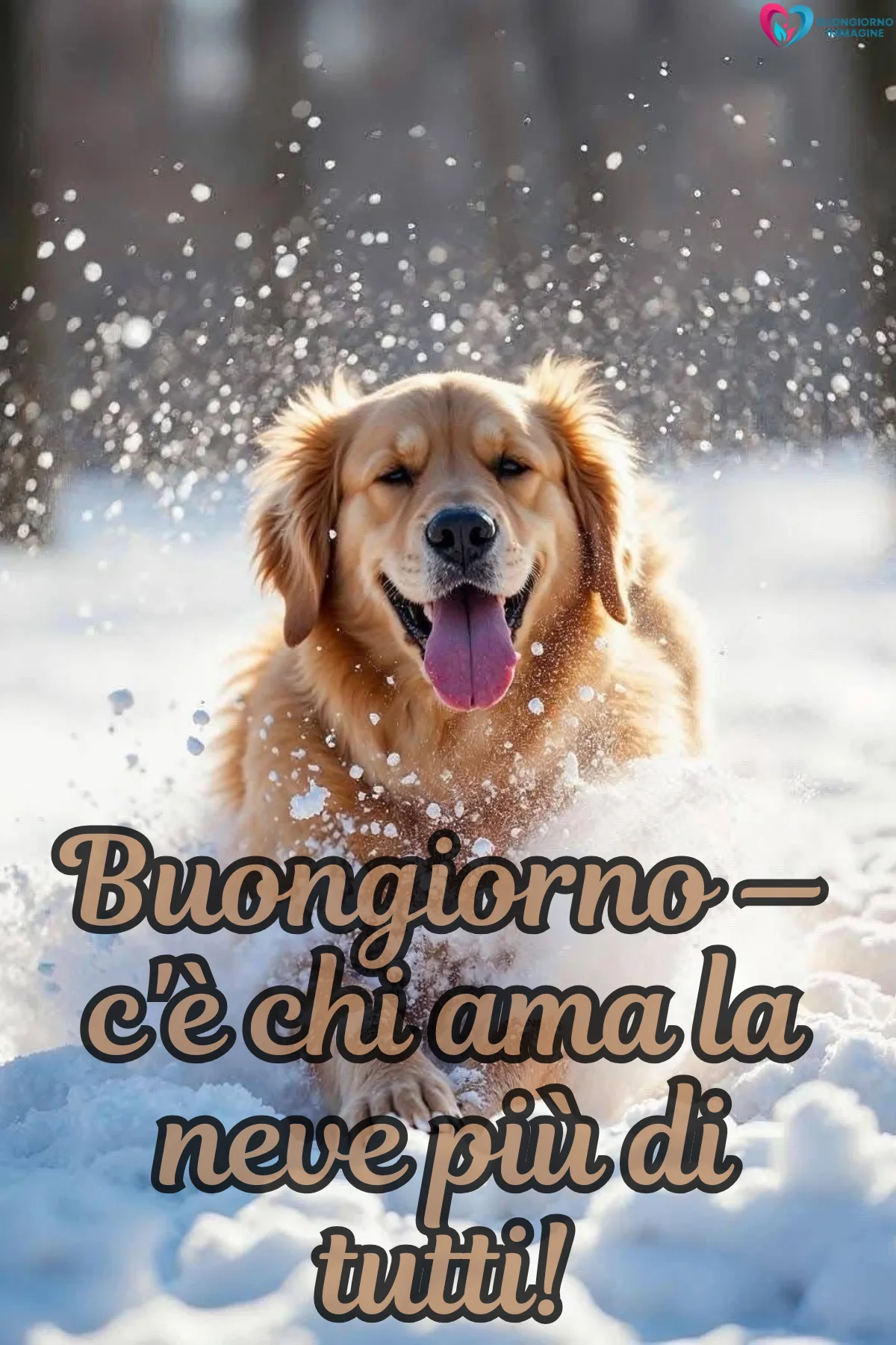 buongiorno neve dicembre