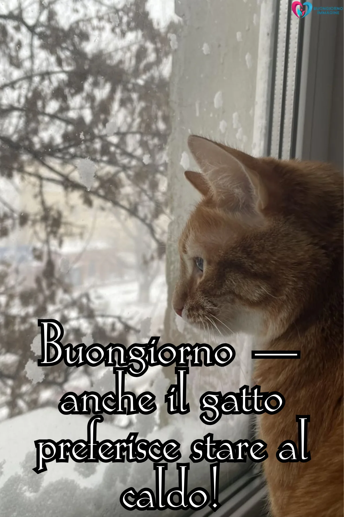 buongiornoimmagine.it