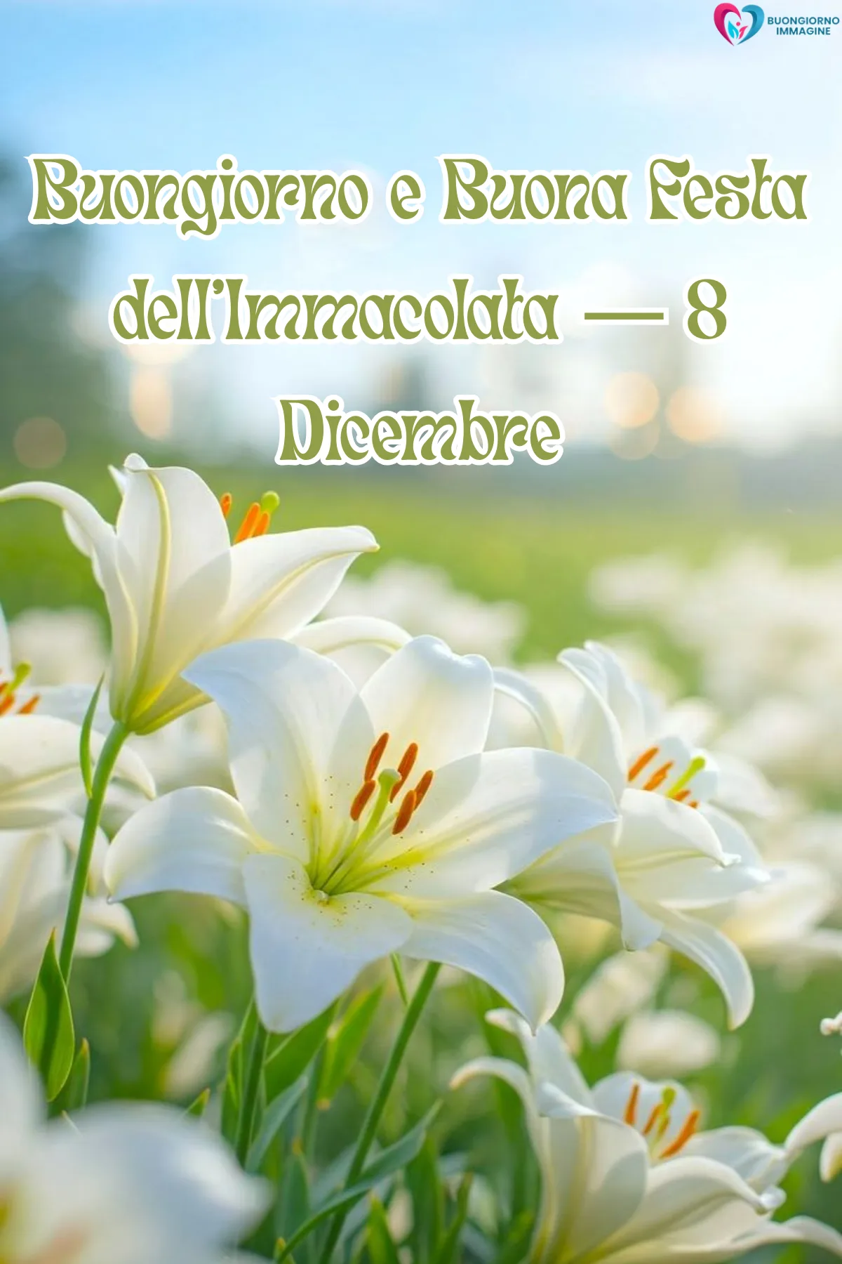 buongiorno 8 dicembre immacolata