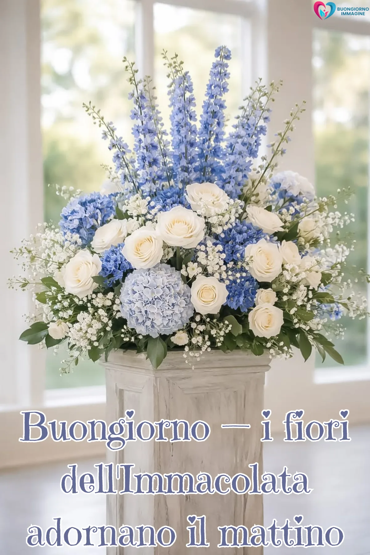 buongiorno 8 dicembre immacolata