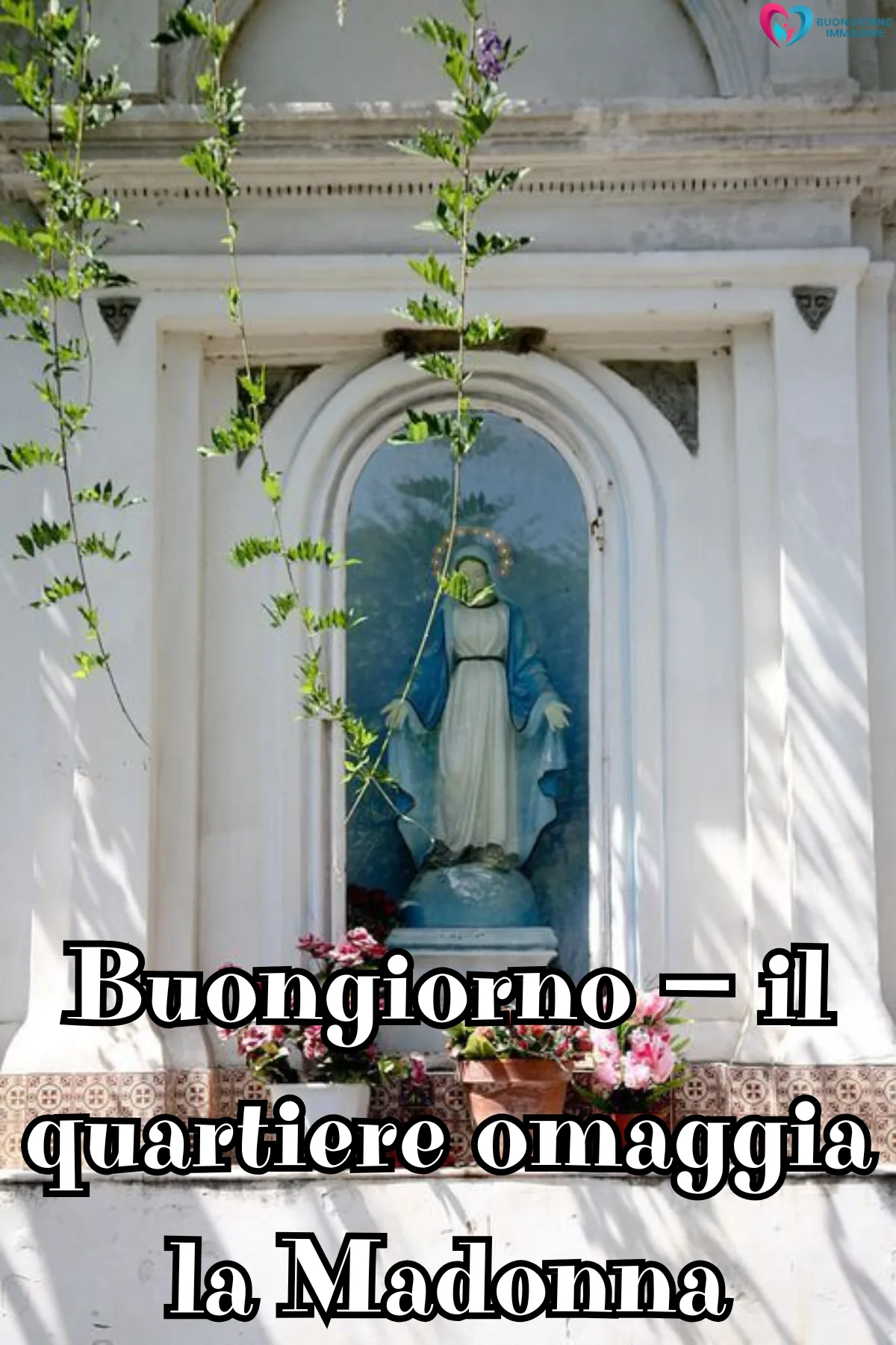 buongiorno 8 dicembre immacolata