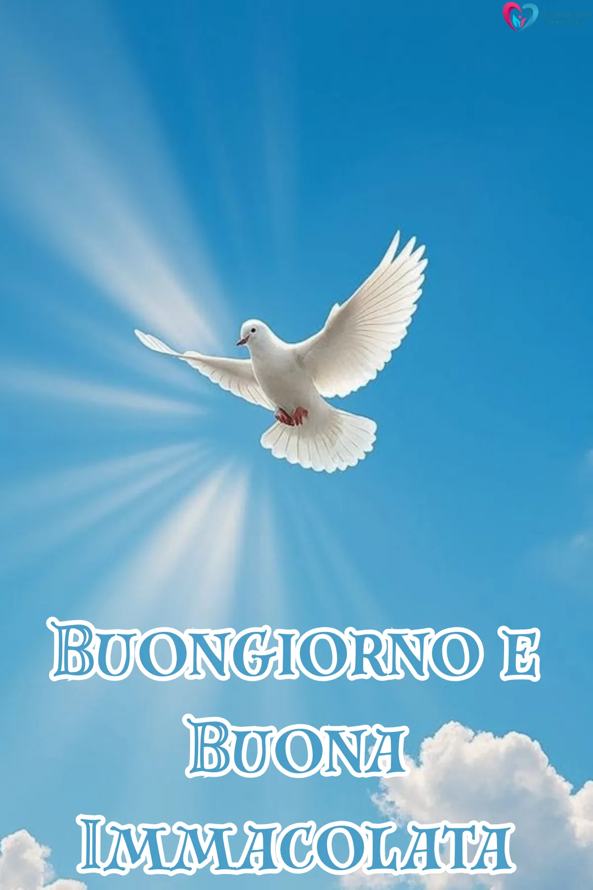buongiorno 8 dicembre immacolata