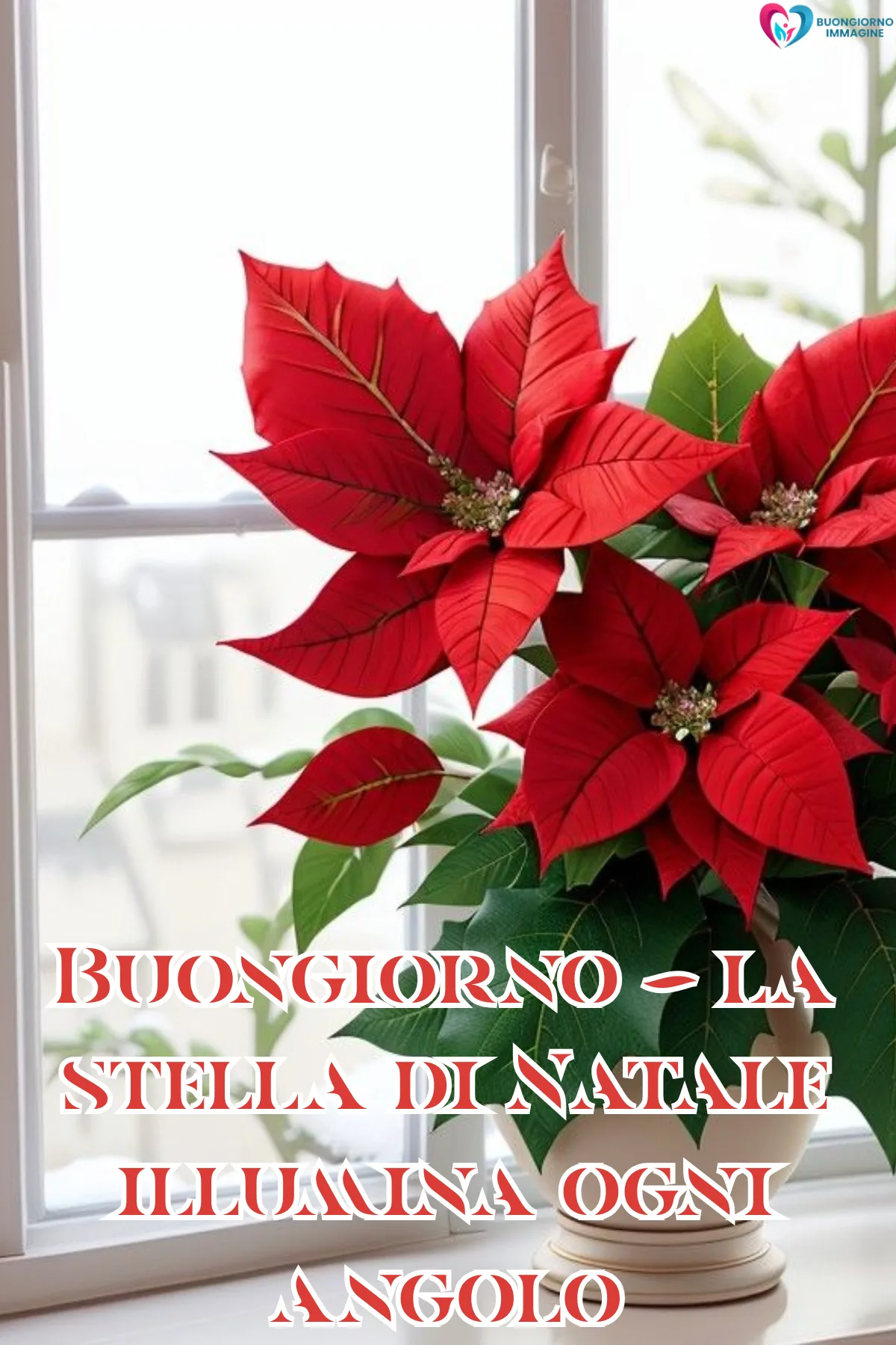 buongiorno natalizio dicembre